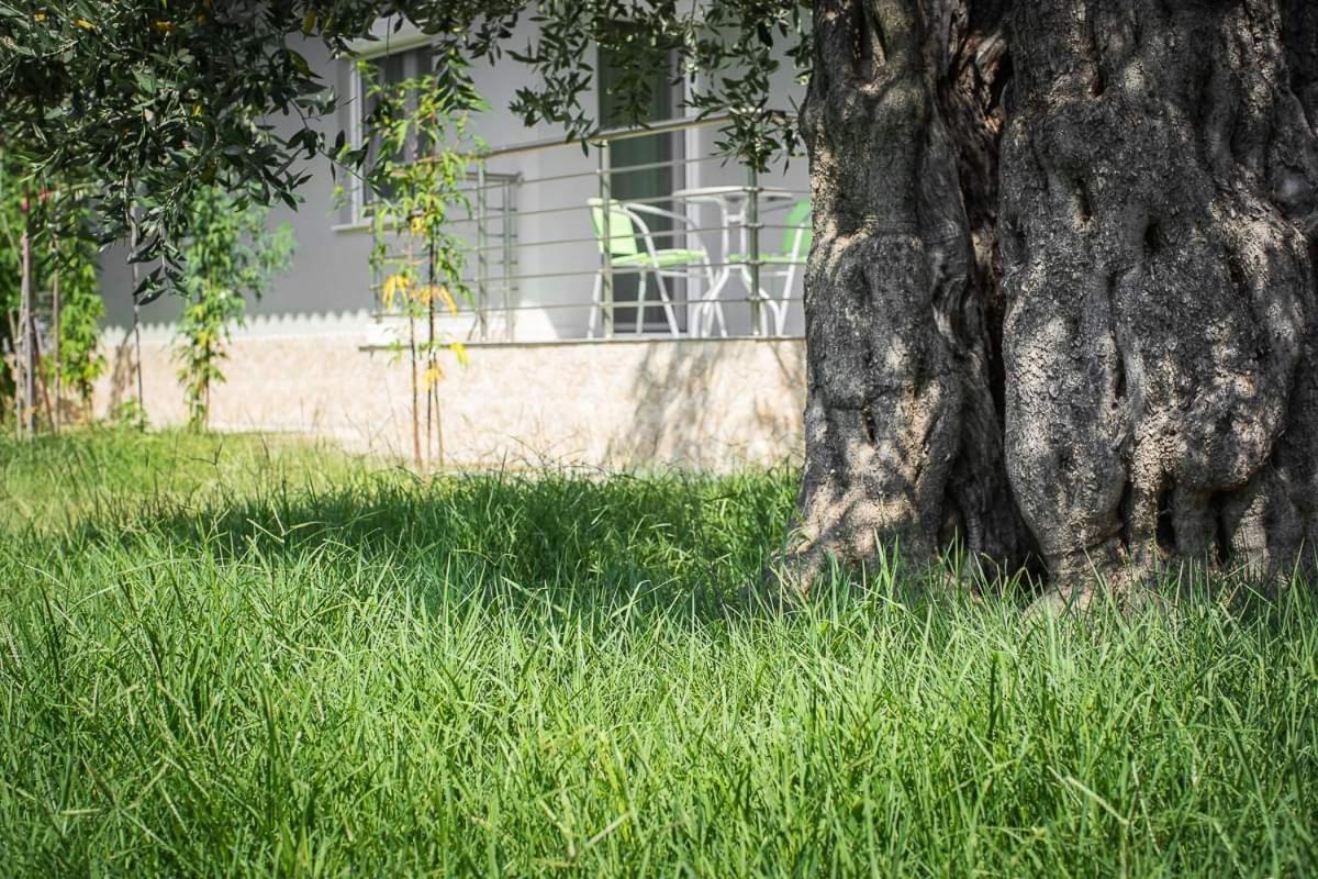 Mougkrasstudio Apartment Skala Rachoni  ภายนอก รูปภาพ