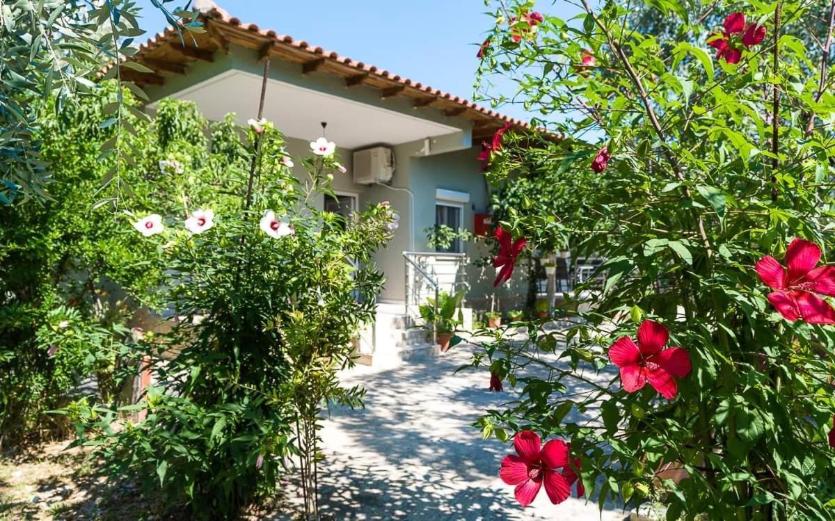 Mougkrasstudio Apartment Skala Rachoni  ภายนอก รูปภาพ
